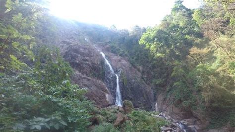 Bijagual Waterfall Picture Of Catarata Bijagual Jaco Tripadvisor