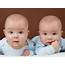 Twins Identical Or Fraternal  HT Health