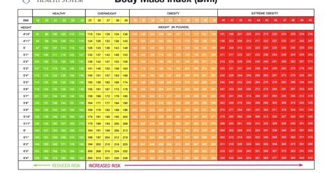 adult bmi chart for men