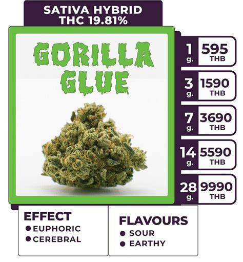 Gorilla Glue Strain Juicy Buds