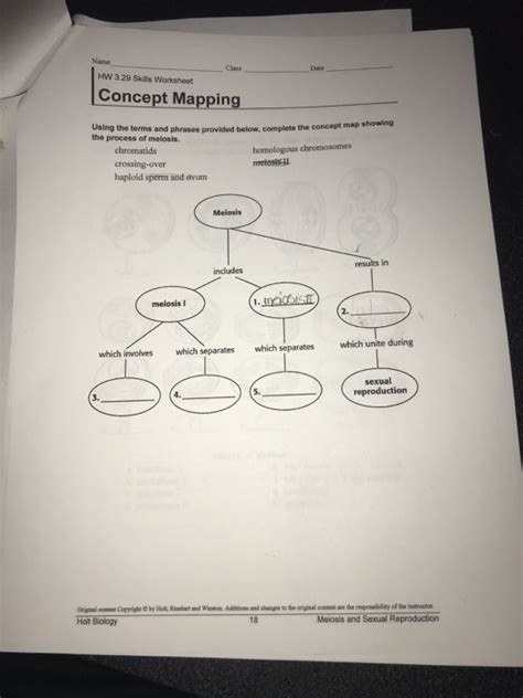 It involves the formation of haploid gametes which can unite and form the since the gametes are haploid, the fusion of gametes is possible. Solved: Class HW 3.29 Skills Worksheet Concept Mapping Con... | Chegg.com
