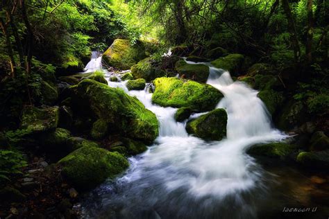 Green Moss Waterfall Waterfall Landscape Photography Landscape