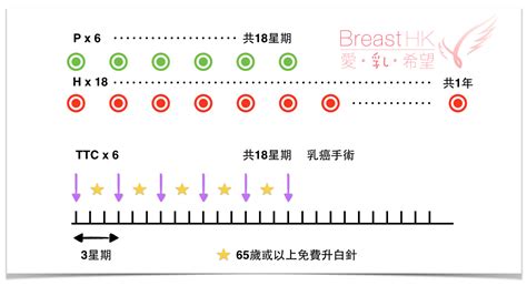 Ttchp Breast Cancer Hk 香港的乳癌治療資訊