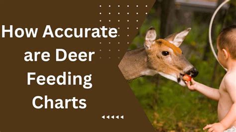 How Accurate Are Deer Feeding Charts