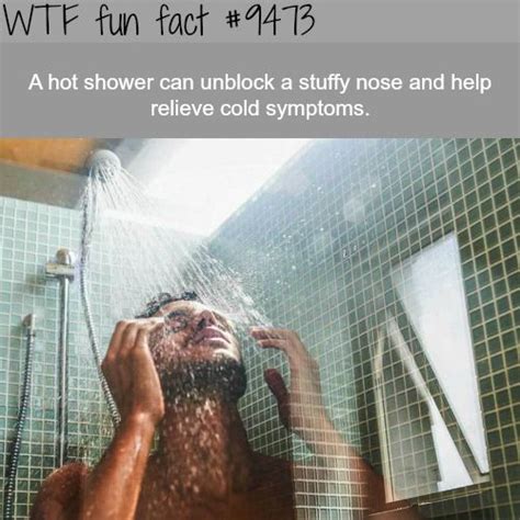 Hot Shower Wtf Fun Fact Wtf Fun Facts Fun Facts Funny Facts