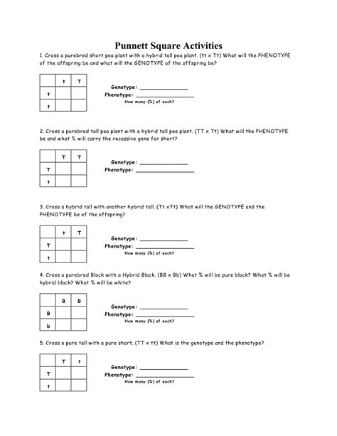 Put the male's alleles down the left side of the square and the female's alleles across. 15 Best Images of Punnett Square Worksheet Answer Key - Punnett Square Worksheet 1 Answer Key ...