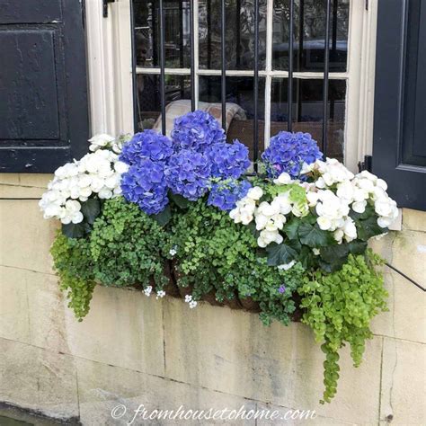 Select a window box that matches your taste and outdoor decor, and then decide whether you'll need plants for sun or shade. Window Box Flower Combinations: Flower Box Ideas Inspired ...