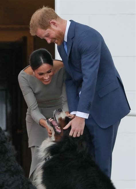 When harry joined meghan for their exclusive interview with oprah, he immediately expressed that harry said he and meghan talked very deeply about stepping back as senior members of the royal. Meghan Markle and Prince Harry Get a Dog August 2018 | POPSUGAR Celebrity