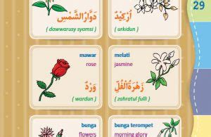 Dalam kamus mufradat bahasa arab, nama tumbuhan termasuk isim,berikut macam macam nama tumbuhan dalam bahasa arab lengkap nama tumbuhan dalam bahasa arab dan artinya. Pasu Bunga Dalam Bahasa Arab