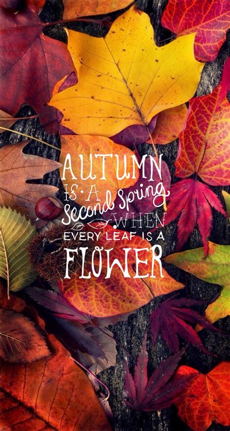 Autumn Quote Iphone Mobile Wallpaper ♚ Autumn Day Hello Autumn I Fall