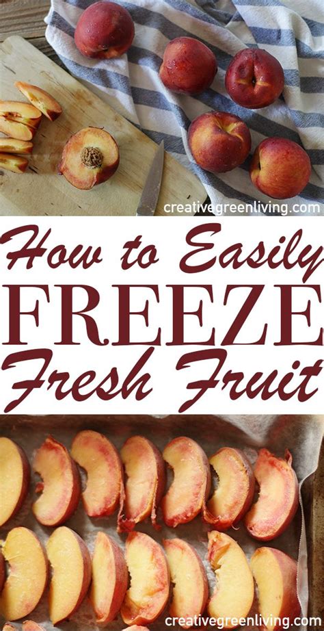 Its Easy To Preserve Summer Fruit In The Freezer Check Out This Post