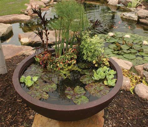 112m consumers helped this year. Aquascape Container Water Garden Filter - Pond Filtration ...