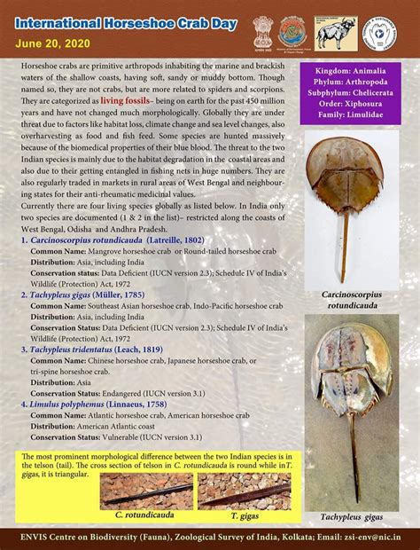Nc welcomes shift from 'jingoism to peace'. SVC ZOOLOGY : INTERNATIONAL HORSESHOE CRAB DAY 20 JUNE