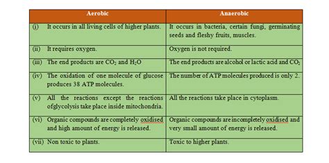 Differences Between Aerobic And Anaerobic Respiration PW