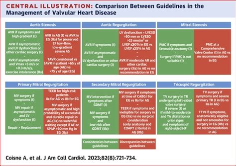 Accaha And Esceacts Guidelines For The Management Of Valvular Heart