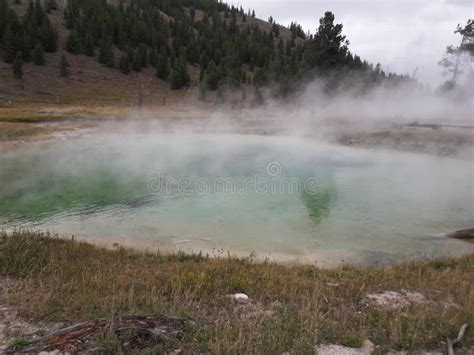 Natural Hot Springs Yellowstone National Park Wyoming Stock Image