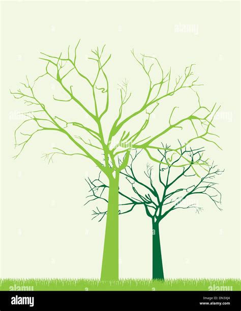 Green Trees Stock Vector Images Alamy