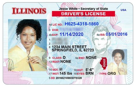 Fake Ids