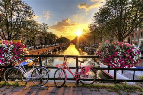 Springtime In Amsterdam Tulip Season