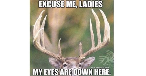 14 Deer Hunting Memes You Definitely Want To Share Pics