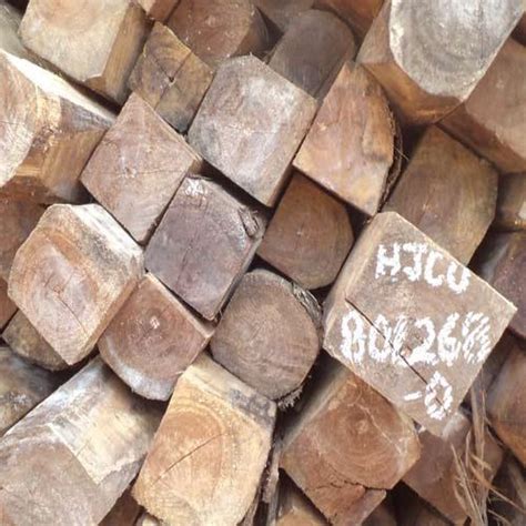 Teak Wood Logs At Best Price In Chennai Tamil Nadu Kallpana Timber Depot