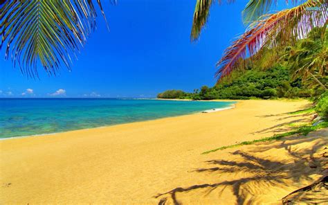 Beach Wallpapers For Desktop Hd Picture Image