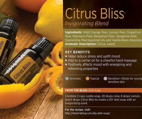 Terra Essential Oils Mandarin Peel Hand Massage Wild Orange Lemon