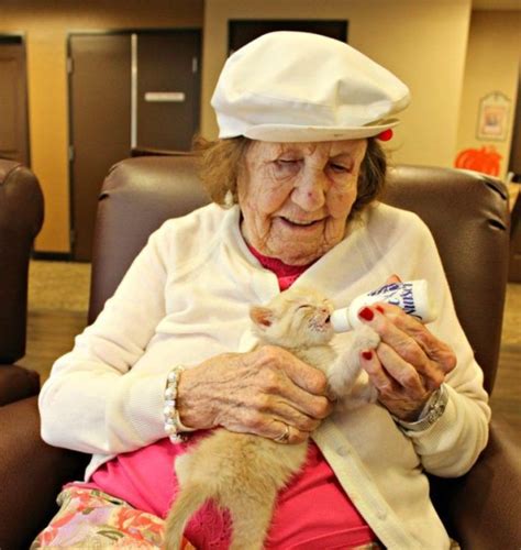 日本や世界や宇宙の動向 養護老人ホームの高齢者たちがぼっちになった子猫たちを育てるプロジェクトが発足！