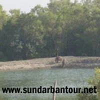 Sundarban Tiger Reserve Package In Siddheshwari Market Durgapur
