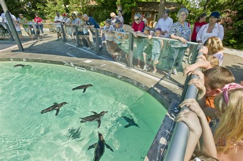 Find Nebraska Animal Parks Zoos And Aquariums Visit Nebraska