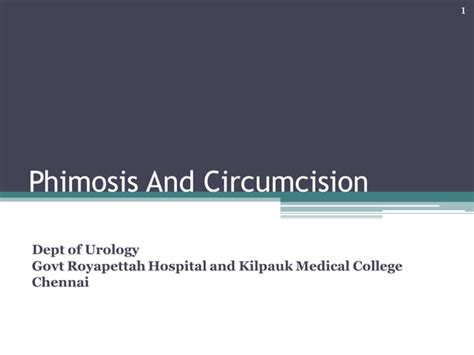 Penis Phimosis And Circumcision Ppt