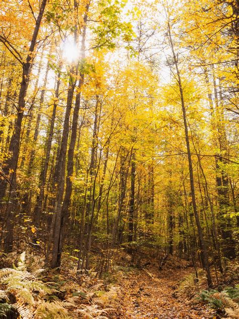 New Hampshire Fall Foliage Guide 8 Beautiful Spots To View New