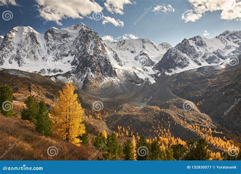 Altai Mountains Russia Siberia Stock Image Image Of Forest Light