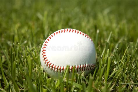 Baseball In The Grass Stock Photo Image Of Equipment 4967234