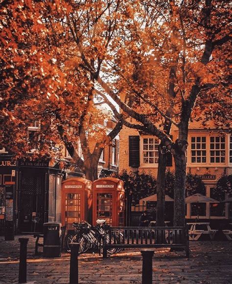 Autumn Cozy Fall Vibes London Photography
