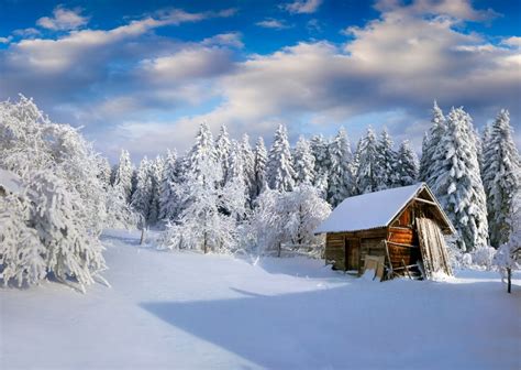 Most Beautiful Snow Scenes
