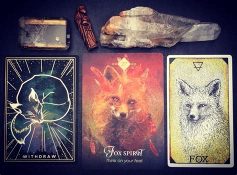 Fox Totem Meditation Spirit Animal Sanctuary Everlasting