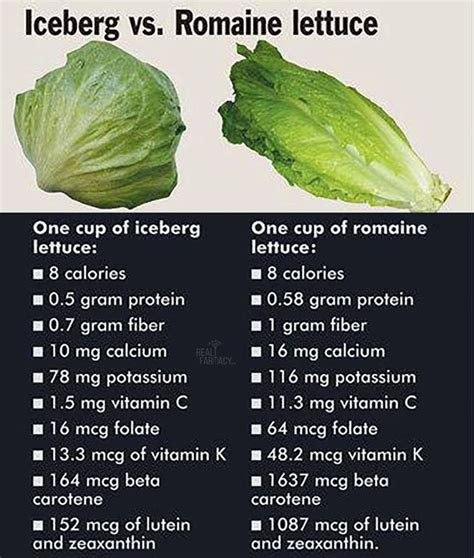 Pin By Regina T On Food Tips And Ideas Lettuce Benefits Lettuce