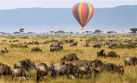 3 Days Masai Mara Balloon Safari Kenya Safari Tours