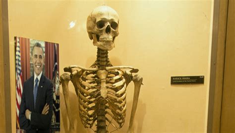 Historic Exhibit Barack Obamas Bones Are On Display At The