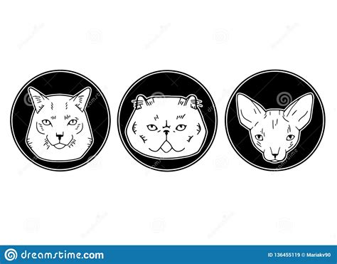 Cute Vector Illustration Of Cat Breeds Pet Animal Set Portrait In A