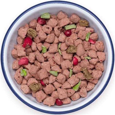 Best Dry Dog Food January 2024 Top 7 Dry Kibble Dog Food Brands
