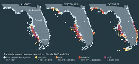 Ramping Up The Fight Against Floridas Red Tides Pnas
