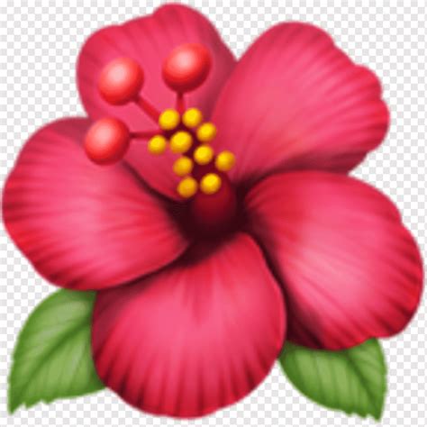 Flor De Emojipedia Rosemallows Iphone Emoji Pegatina Planta Anual