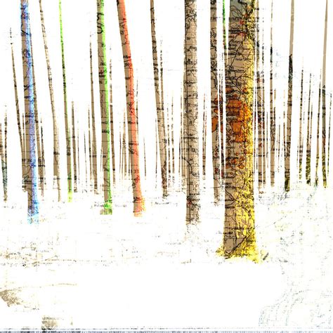 Landscape Forest Mapping Trees Digital Art By Mary Clanahan