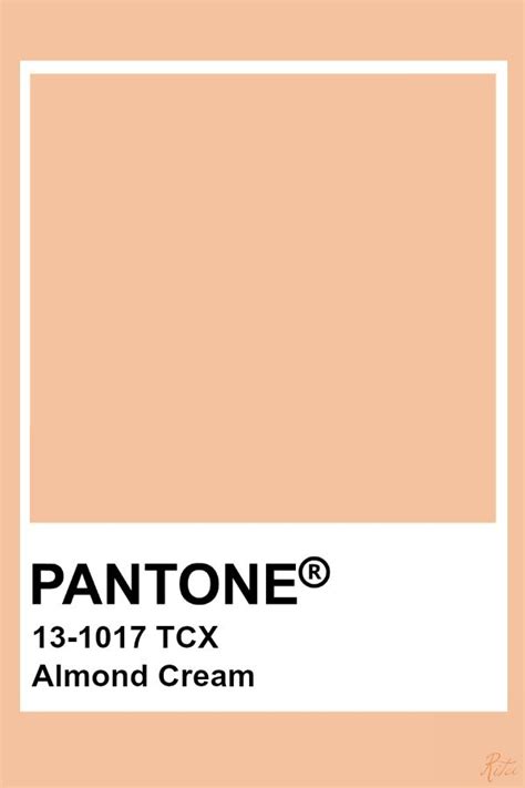 Pantone Almond Cream Pantone Palette Pantone Swatches Pantone Colour