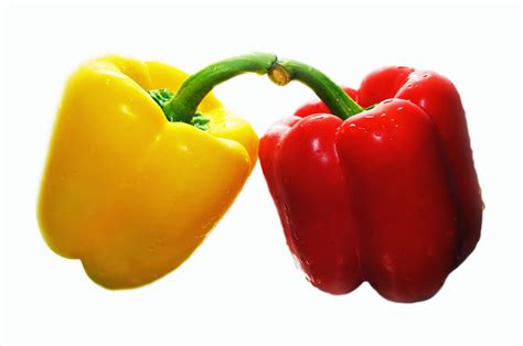 Fresh Sweet Pepper Free Stock Photo Public Domain Pictures
