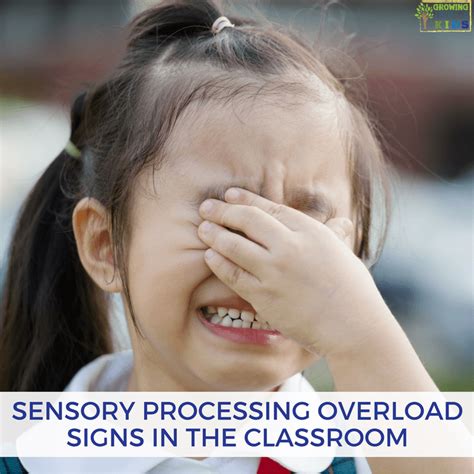 Sensory Processing Overload Signs In The Classroom Plus A Free