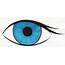 Eyeball Clip Art Eye Clipart  Clipartix