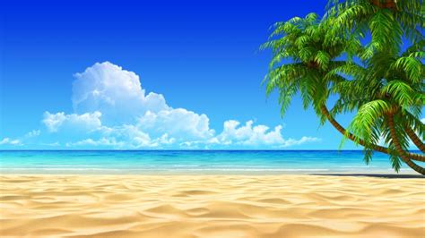 Free Download Amazoncom Summer Beach Background Sunshine Sea Blue Sky